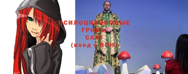PSILOCYBIN Бронницы