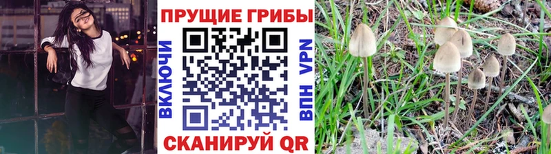 hydra tor  Медногорск  Галлюциногенные грибы Magic Shrooms 